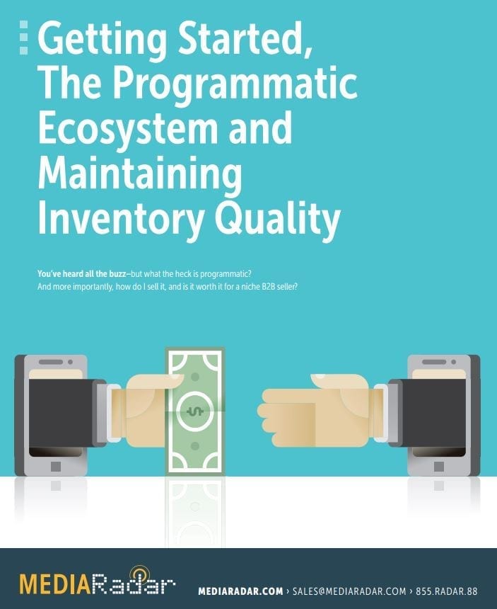 getting started, the programmatic ecosystem and maintaining inventory quality