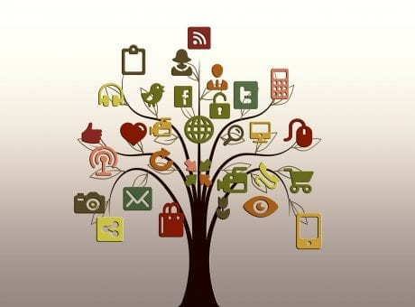 tree with social media logos