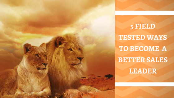 5 Field Tested Ways to Become a Better Sales Leader
