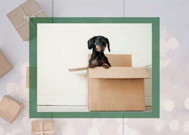 12 Ads of Christmas: 11 Boxes Shipping