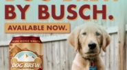 dog brew by busch ad