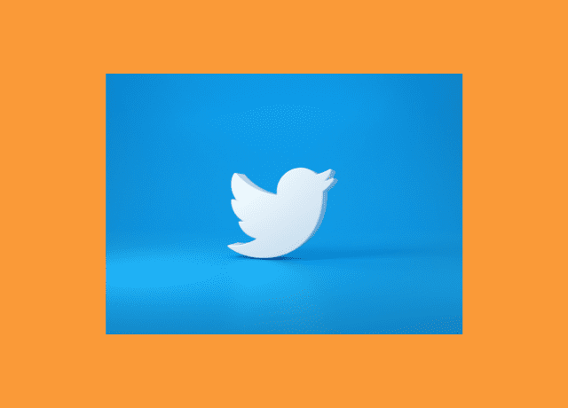 twitter logo on orange background
